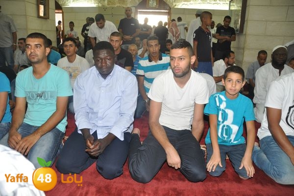 bazsalah lud 712 (36).JPG